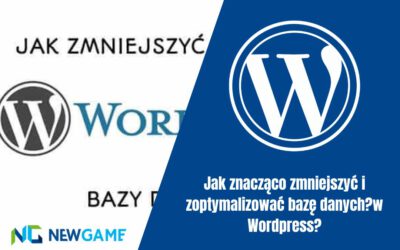 [WordPress] Jak znacząco zmniejszyć i zoptymalizować bazę danych?